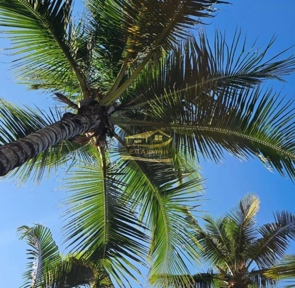 Casa pé na areia em barra do Una oportunidade