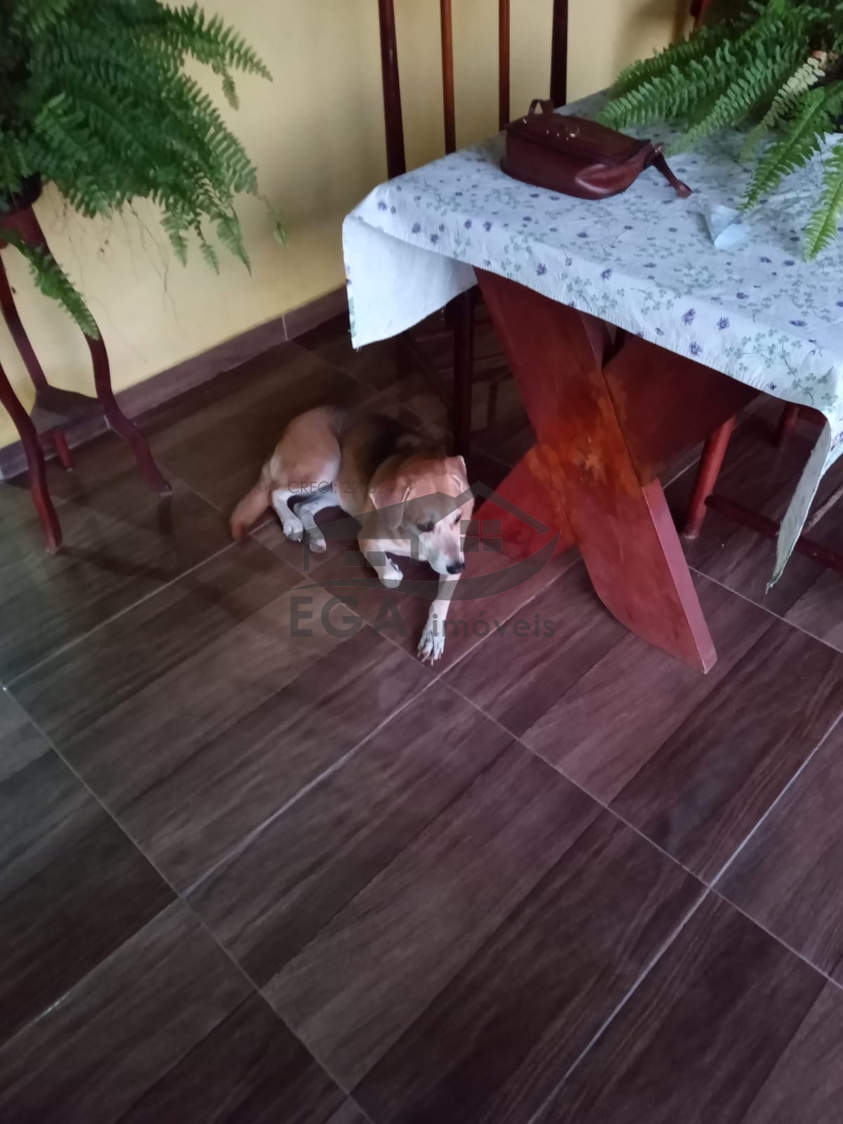 Casa na praia de boiçucanga