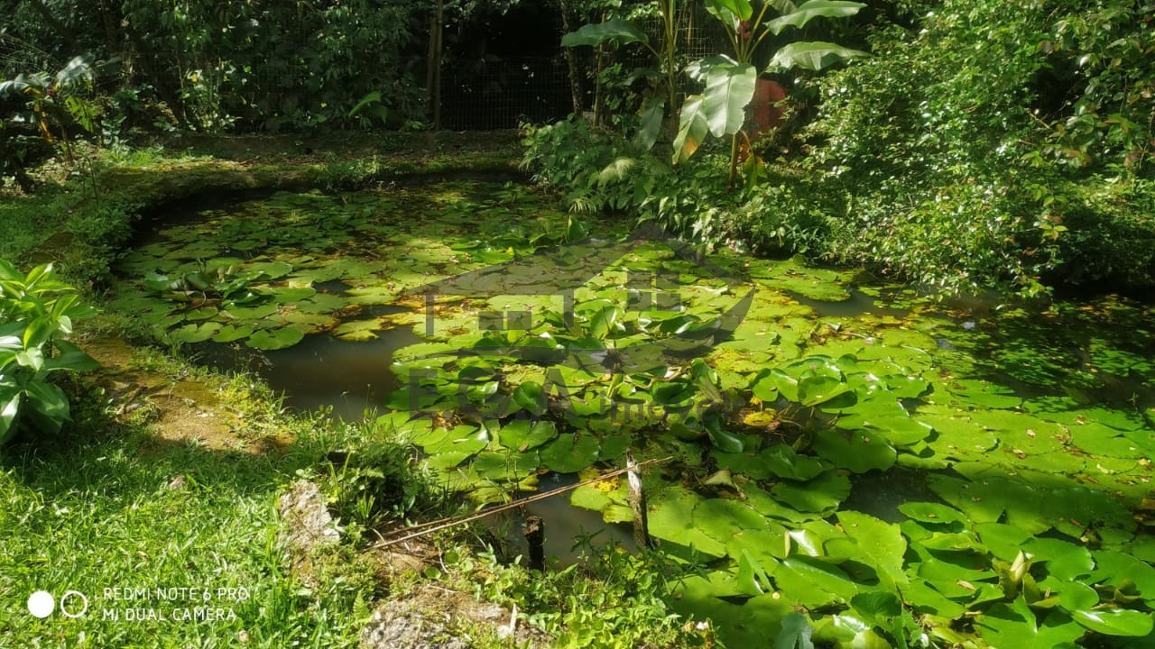 Sitio em boiçucanga