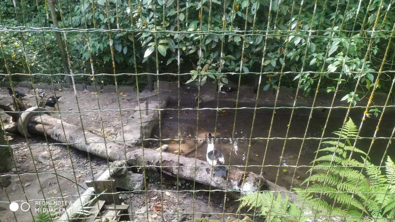 Sitio em boiçucanga