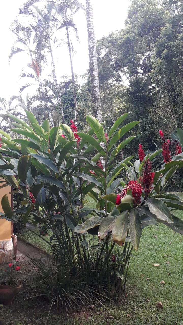 Casa em condomínio em boiçucanga