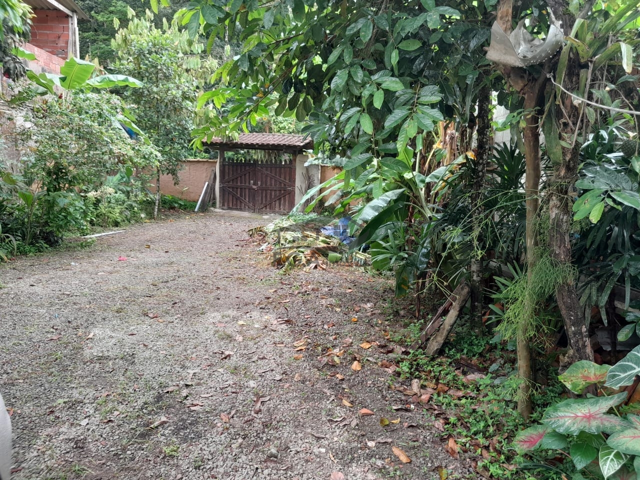 Casa no sertão de Camburi
