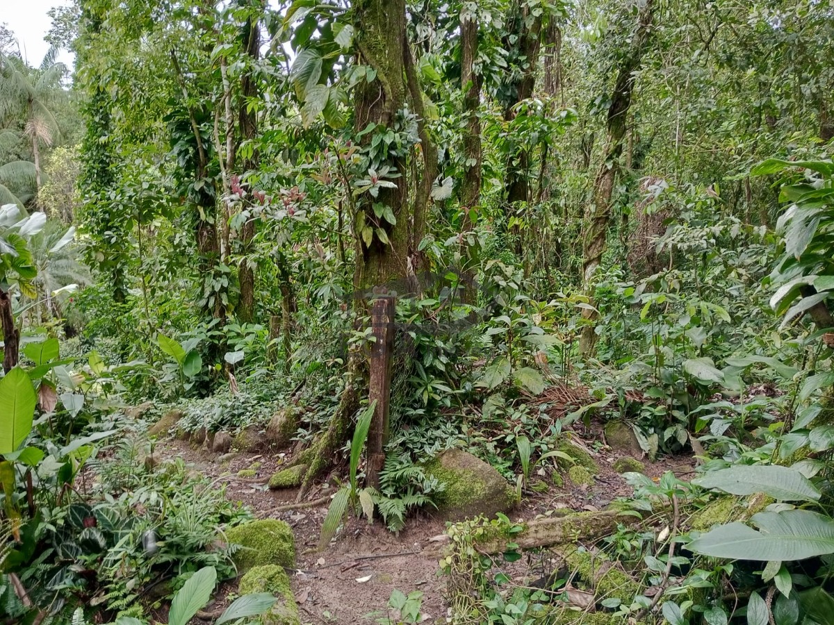 Casa no sertão de barra do una condomínio - foto 15