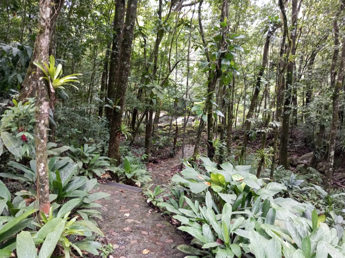 Casa no sertão da Barra do Una no meio da mata