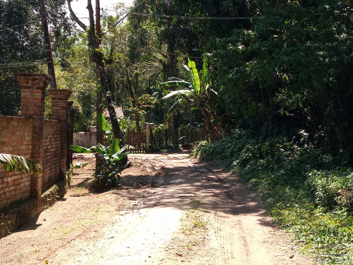 Olha essa linda oportunidade no sertão do cambury já 100 metros do calçamento