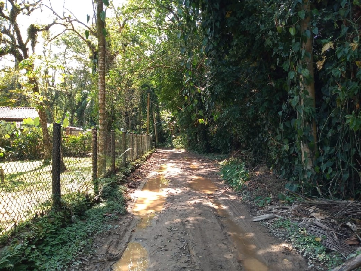 Olha essa linda oportunidade no sertão do cambury já 100 met - foto 10
