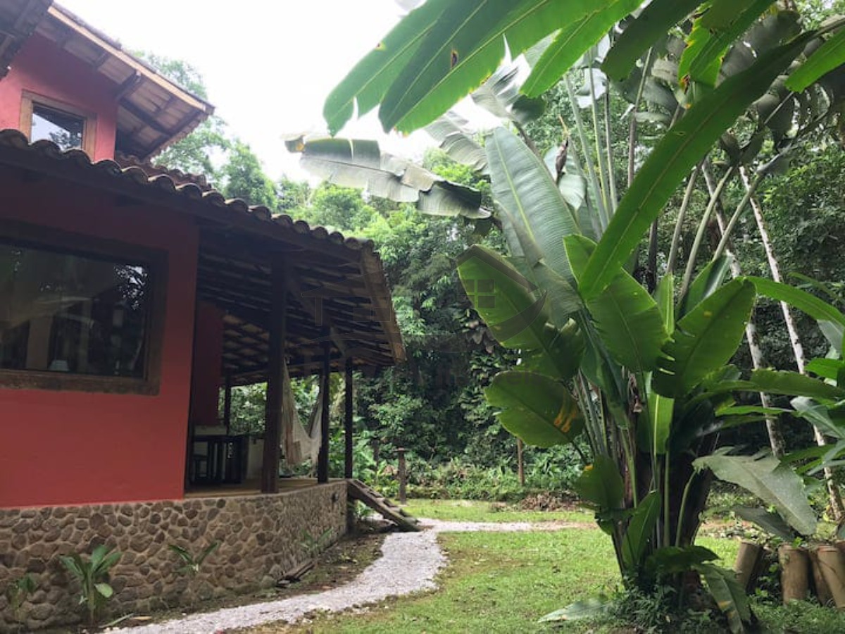 Casa no sertão da barra do una no meio da mata - foto 2